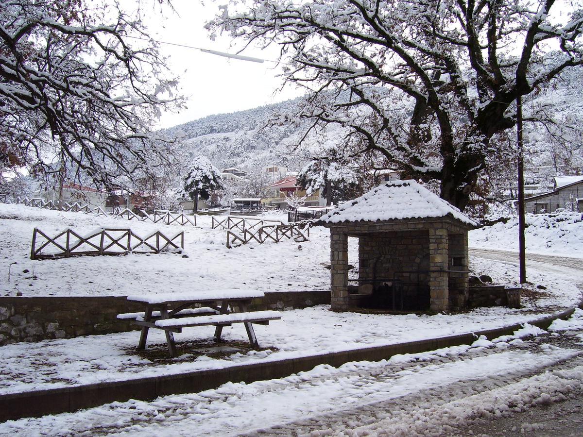 Hotel Panorama Kakopleyri Kalabakas Kakoplevri Esterno foto