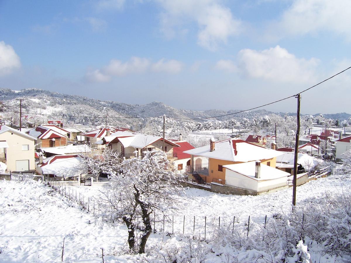 Hotel Panorama Kakopleyri Kalabakas Kakoplevri Esterno foto